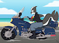*W'_Daryah's hobby 1/2
