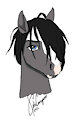 horse