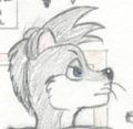 Dam-ned Shorts by RikMcCloud