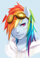 Rainbow Dash again!
