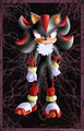 Shadow the hedgehog by Kiivi