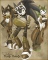 The Art of Sonic Remix
