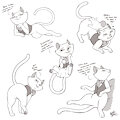Flirtacious Feline [C]