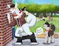 Husky Day (Husky Transformation)