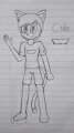 New Cade Sketch