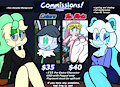 Commission Sheet 2021