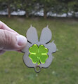 Lucky rabbit's foot