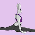 Bunny Splits by squishyPlop