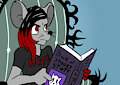 the book of spooky stuff