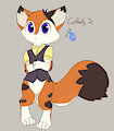 I made myself (temporarily) into a cat!