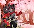 Redraw Commission by CyCy