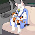 Car naptime
