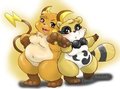 Raichu and Donpoko