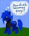 Sano Pony by cyiancefiction