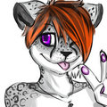 Avatar commission