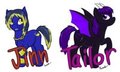 Pony badges