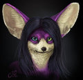 Dizzy Fox by Raikhan