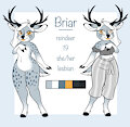 Briar Ref Sheet