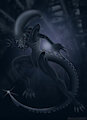 Xeno