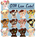 OTA : Lion Cubs!!! OPEN