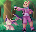 Pokemon Trainer