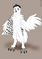 CS OwlClaw01