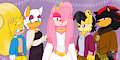 Amy's Council