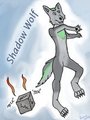 Shadow Wolf April Fool's commission by SeraiWolf
