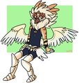 Fluffy Bird Guy