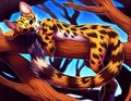 Doesn't get much better than this (for Spottacus, by Falvie).
