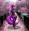 Gift/OTA Payment | Quill