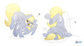 Preening Predicaments