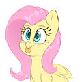 flutter blep
