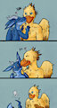 Birb Kisses