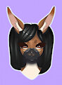 Brown Bunny