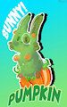 Bunny Pumpkin