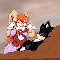 Think Shadow think !