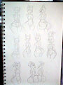 Art studying sssonic2
