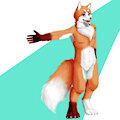 2021.5.18 by shadowXfox