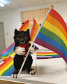 Little Balto on Idahobit-day