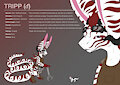 Commission - Tripp Character Sheet