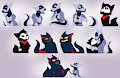 Quinn Stickers -CO-
