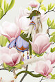 Hiding between magnolia blossoms.