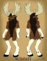 Summit Reference Sheet