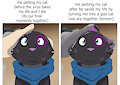 Petting My Cat