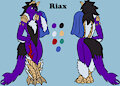 [Commission] Riax Reff Sheet