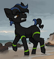 Beach Pony