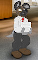 Haida