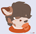 Wolfie's Streams - Sleepy Boy