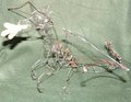 Wire dragon sculpture